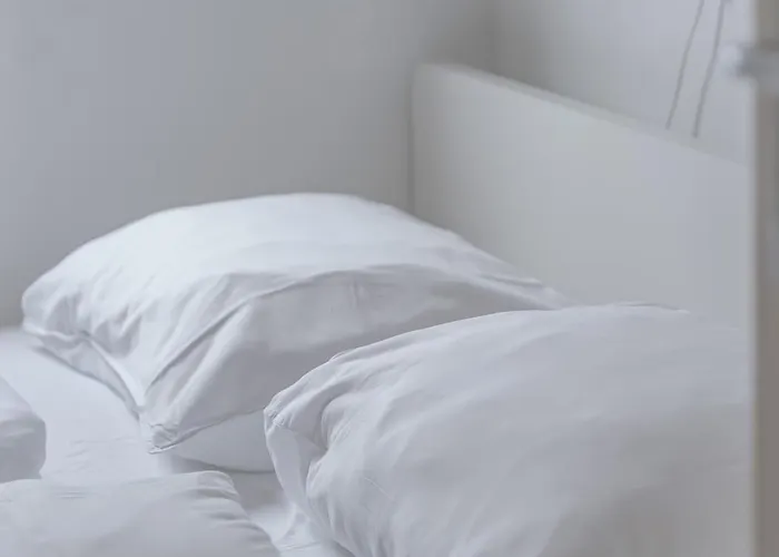 - Het Kleine Nest - Nabij Het Meer, & Keukenhof Noordwijkerhout